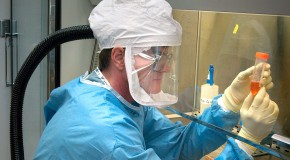 Guerre des bactéries en milieu hospitalier bactéries carte échange bactérien hôpital micro-organisme