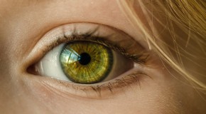 Votre état de santé à travers vos yeux maladie pathologie yeux oeil examen oculaire rétine