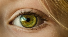 Blessures à l’œil et traumatismes oculaires blessure œil traumatismes oculaires réagir réaction soin