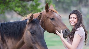Les animaux, des thérapeutes de plus en plus reconnus thérapie animale animaux psychologie zoothérapie médiation