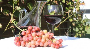 Polémique autour du vin vin foie alcool réglementation addiction santé publique toxicité