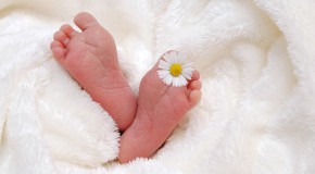 Maison de naissance, pour un accouchement moins médicalisé maison naissance accouchement accueil grossesse médicalisé