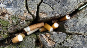 Interdiction de fumer dans les espaces verts de Strasbourg Strasbourg interdiction cigarette fumer espace vert fumeur non-fumeur