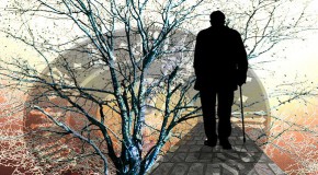 Les médicaments anti-Alzheimer officiellement déremboursés médicaments Alzheimer remboursement déremboursé