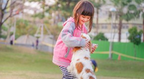 La « cynothérapie » pour traiter les troubles du langage cynothérapie thérapie chien enfant trouble langage psychologie