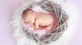 Bébés issus d’une greffe d’utérus greffe utérus naissance bébé donneuse décédée