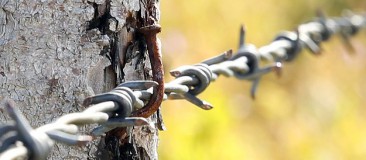 Maladie rare, le tétanos tue encore en France Tétanos maladie rare mortalité santé