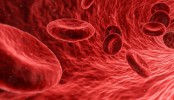Un traitement révolutionnaire contre les cancers du sang cancer sang leucémie CAR-T thérapie génique traitement rémission