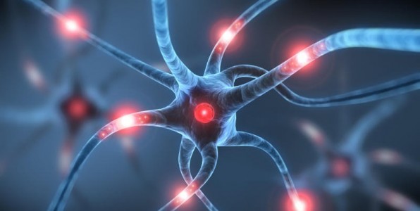 cerveau souvenirs recherche molcule ARNm