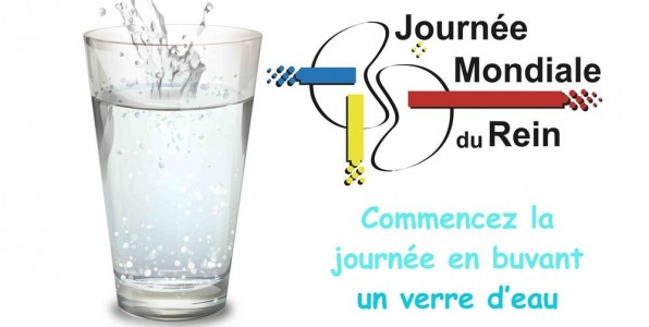 L'eau peut protger vos reins, mais ne vous gurit pas d'une maladie rnale chronique