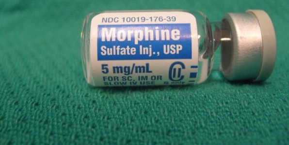 Le venin du crustac pourrait remplacer la morphine