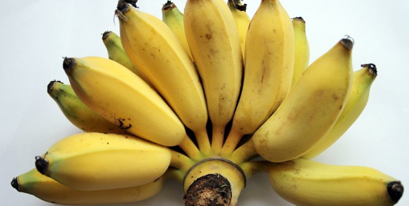 banane OGM mortalit infantile super banane