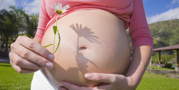 pesticides bbs femmes enceintes autisme