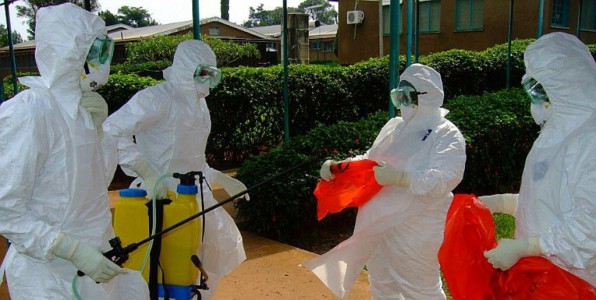 virus Ebola traitement anticorps mdicament solution ZMapp
