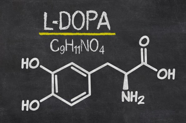 L-dopa : le traitement contre la maladie de Parkinson