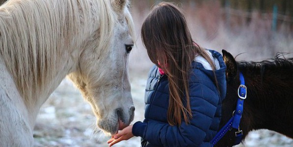 L'quithrapie se base sur la relation entre le patient et le cheval.