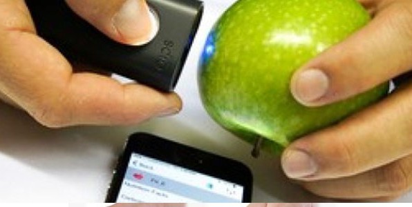 Un scanner portable qui dtecte les pesticides ( sources : ENSM)