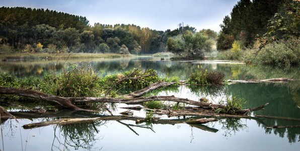 La pollution de l'eau est au centre de nombreux dbats environnementaux.