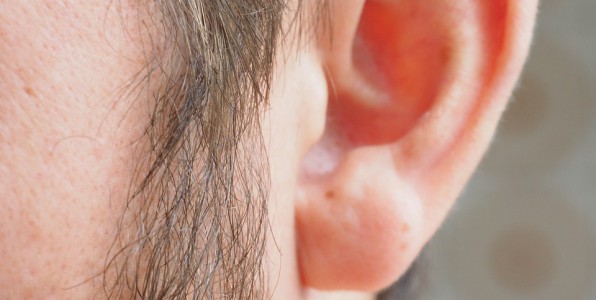 Recoller les oreilles aide souvent  retrouver un quilibre psychologique positif