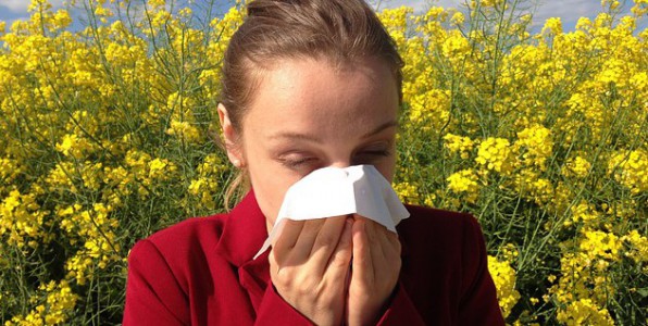 Les premires floraisons provoquent les premiers symptmes allergiques