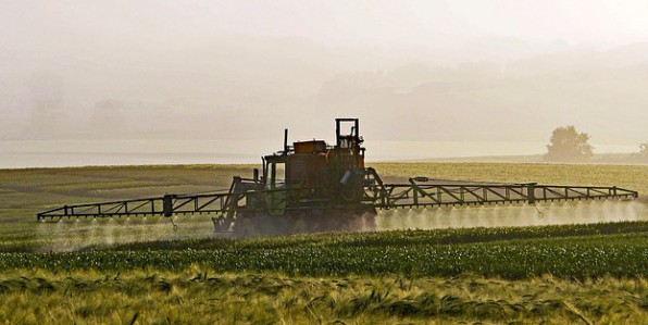 De nombreux pesticides contiennent des perturbateurs endocriniens.