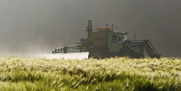 Le glyphosate est un herbicide utilis en agriculture.