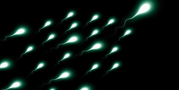 Les dons de spermatozodes et d'ovocytes sont insuffisants.