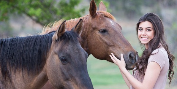 Le cheval est souvent utilis en zoothrapie.