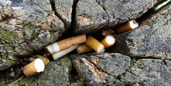A partir du 1er juillet, il sera interdit de fumer dans les parcs de Strasbourg.