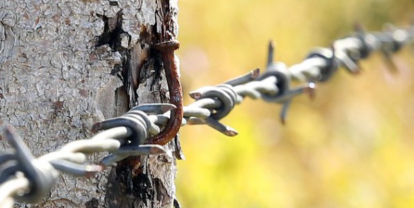 Le ttanos peut s'attraper en jardinant ou  l'occasion de blessures avec des mtaux rouills.