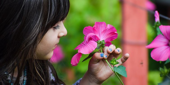 L'exposition  des polluants chimiques rduit les fonctions pulmonaires des enfants.