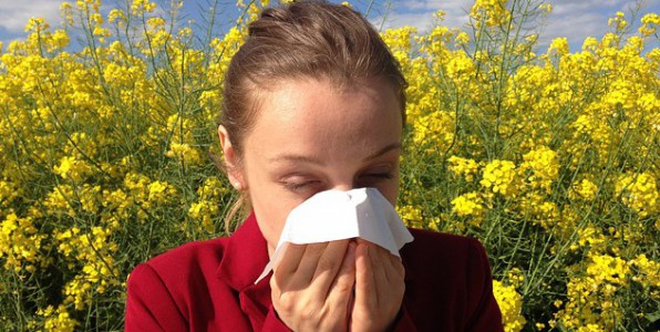 L'asthme peut parfois tre provoqu par des ractions allergiques.