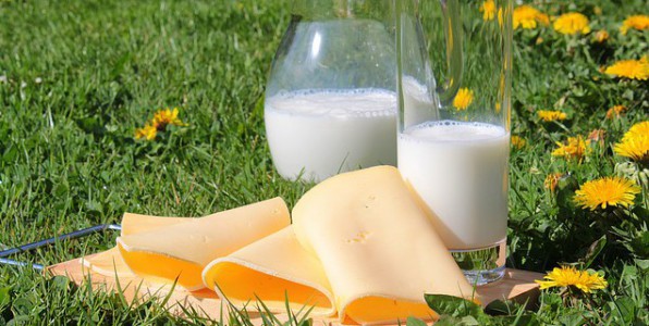 Intolrance au lactose ou allergie au lait?