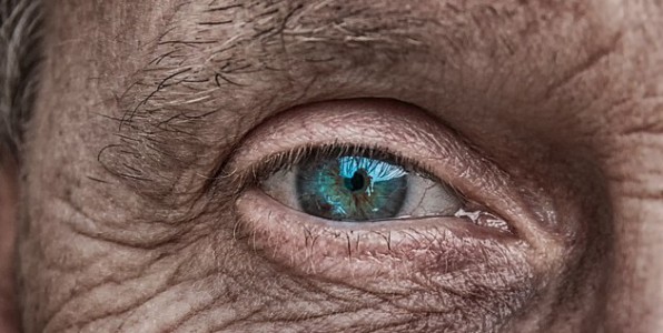 Des régulateurs du rythme circadien dans la peau Les photorécepteurs à opsine, que l'on trouve dans l’œil, joue un rôle clé dans le rythme circadien et seraient aussi actives dans la peau.