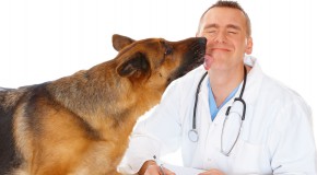cancer de la prostate chien renifleur urines nez du chien tumeur d�pistage