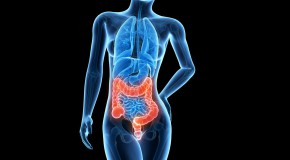 cancer colorectal viande rouge amidon r�sistant