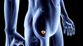 dpistage cancer de la prostate balance bnfice risque the lancet
