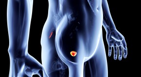 d�pistage cancer de la prostate balance b�n�fice risque the lancet