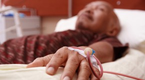 sang jeune transfusion Alzheimer souris stanford performances cognitives m�moire GDF11