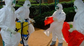 ebola vaccin essai clinique etats-unis