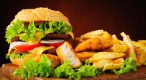 malbouffe r�gime alimentaire d�pendance cercle vicieux alimentation app�tit rats r�compense ob�sit�