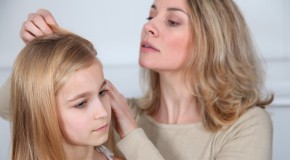 poux enfant traitement v�t�rinaire anti-puces animaux