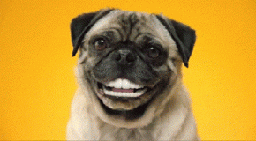 tumblr surdit� gifs 