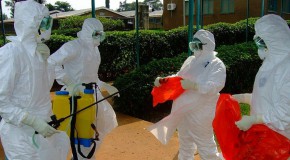 OMS Ebola virus �pid�mie transmission maladie
