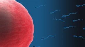 spermbot spermatozo�de infertilit� masculine mobilit� st�rilit� homme nano-robot