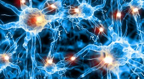 �lectrostimulation facult� m�moire neurostimulation tDCS �lectrodes stimulation �lectrique cerveau stimulation transcr�nienne