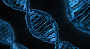 Crispr-Cas9 Crispr g�nome g�ne recherche ADN ARN
