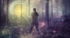 LSD �tude recherche drogue hallucination conscience de soi 