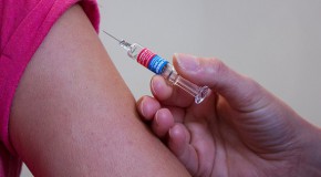 vaccination vaccin protection refus vaccinal politique de vaccination