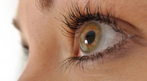 D�g�n�rescence maculaire li�e � l'�ge DMLA recherche m�dicale cause sympt�mes traitement